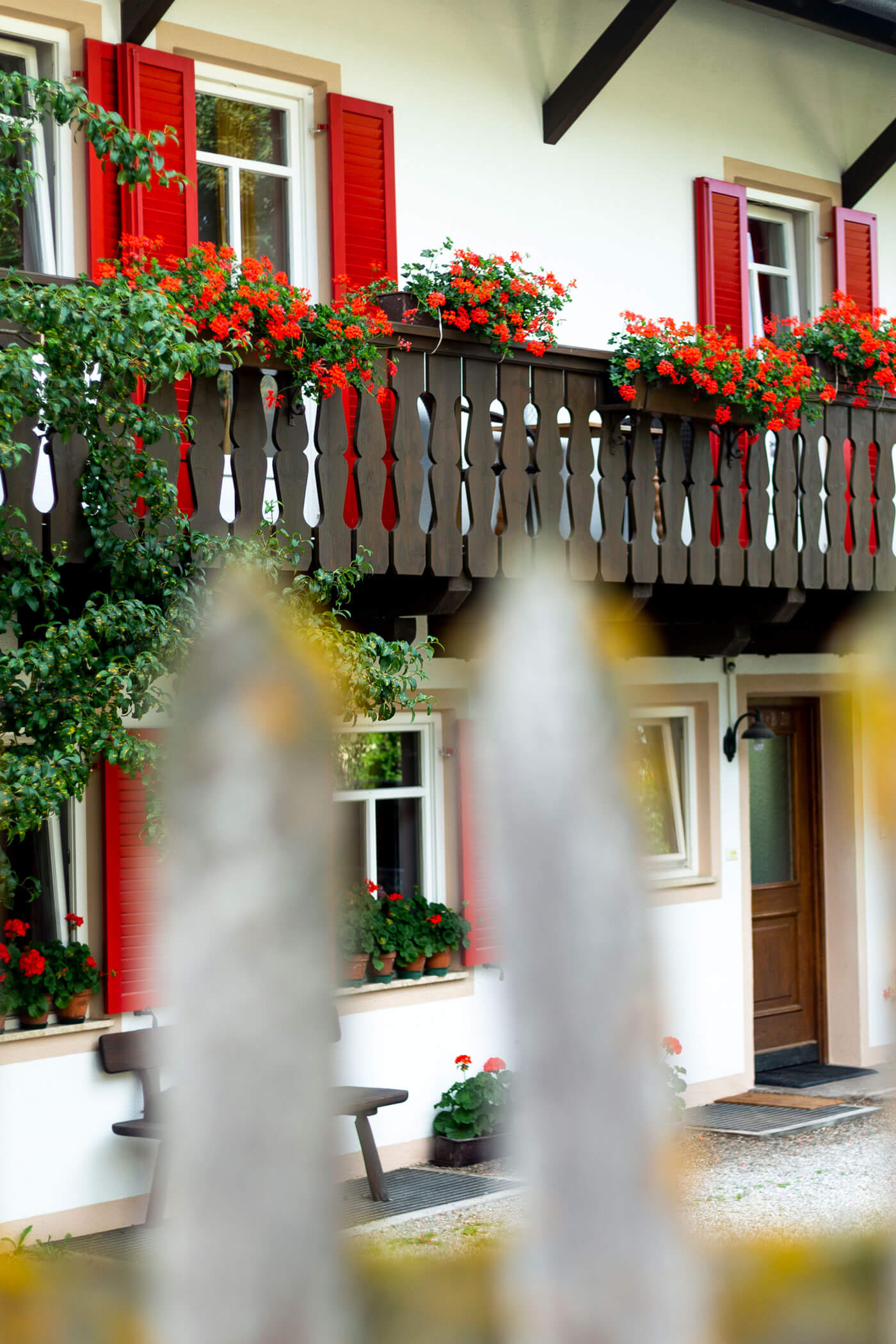 Detailaufnahme Blumen