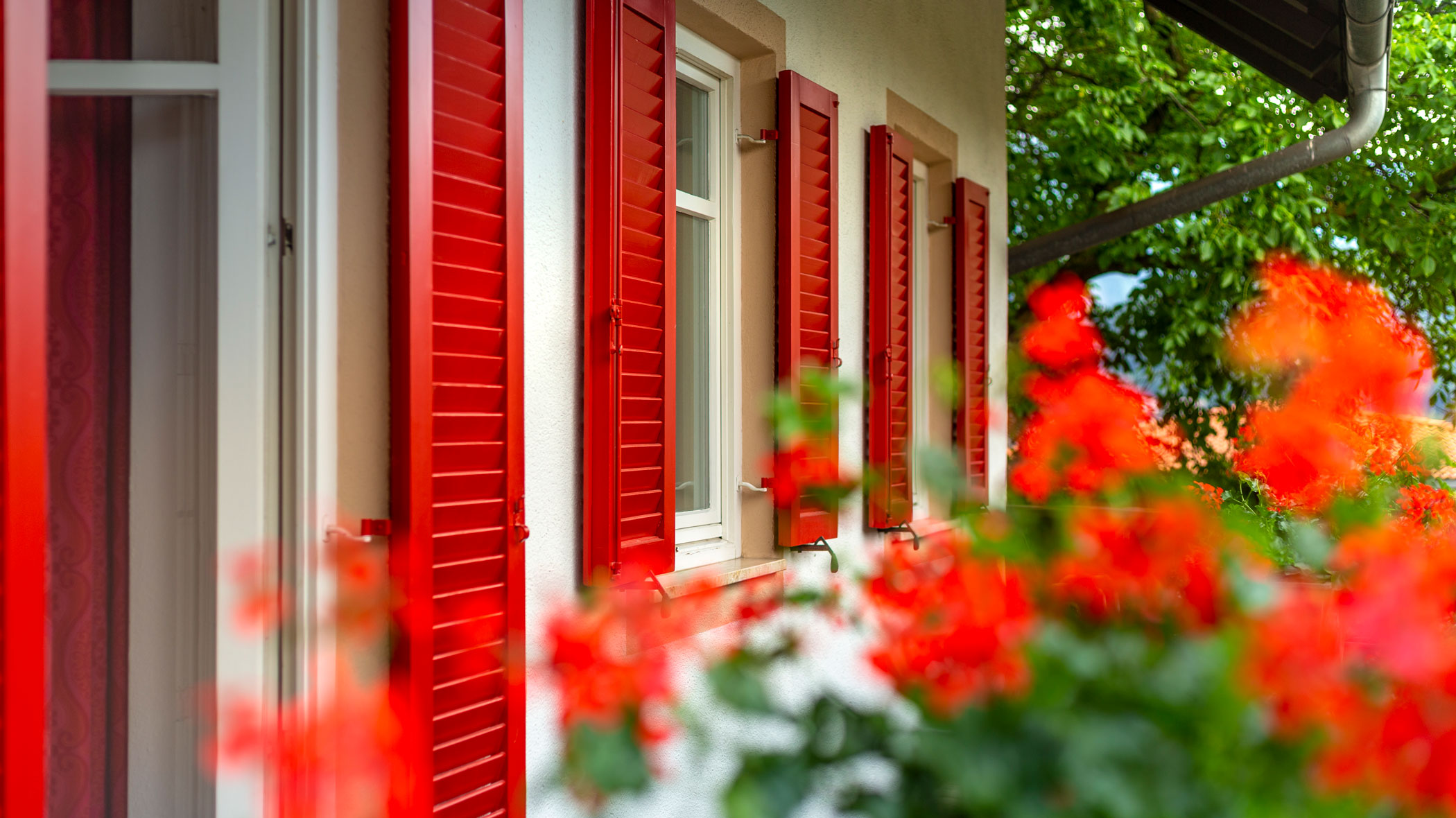 Blumen auf dem Balkon